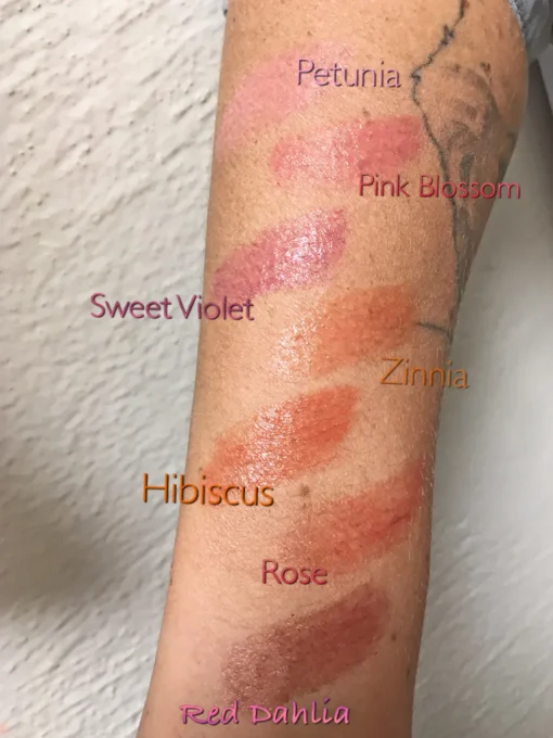 Burt´s Bees Tinted Lip Balm´s