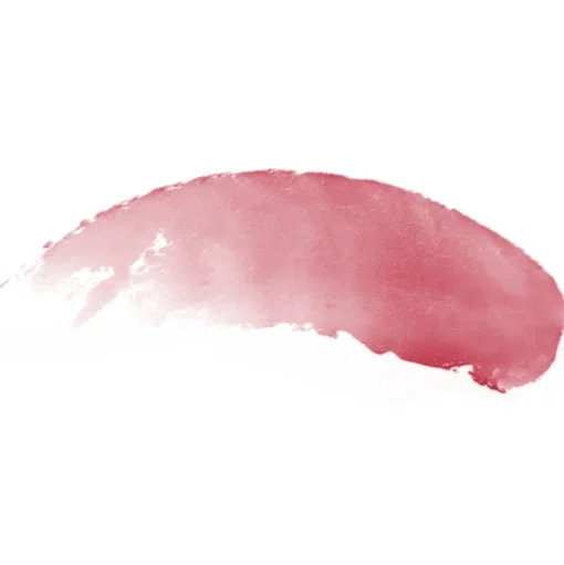 Burt´s Bees Tinted Lip Balm´s