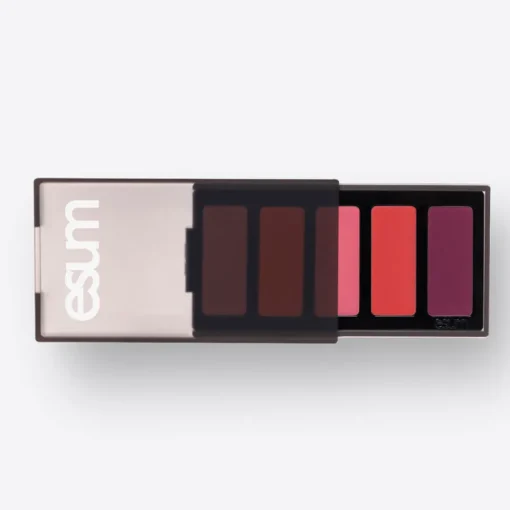 esum The Artistry Blush Palette No9 ACCENTUATE