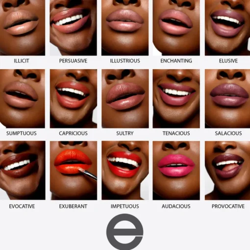 esum The Artistry Lip Palette No10 NUANCE