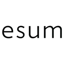 esum The Artistry Pigment Palette - No4 Elevate