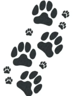 Tattooed Now! Temporary Tattoo - Dog Paws