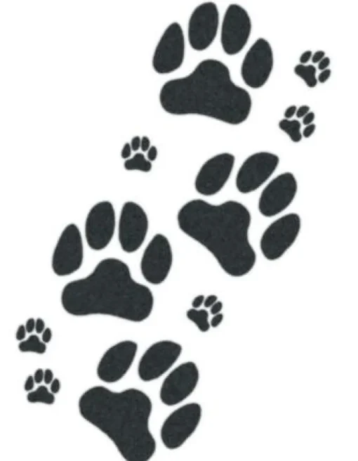 Tattooed Now! Temporary Tattoo - Dog Paws