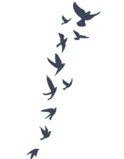 Tattooed Now! Temporary Tattoo - Flying Birds